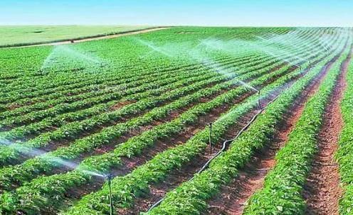 抽插空姐视频农田高 效节水灌溉